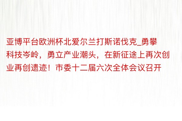 亚博平台欧洲杯北爱尔兰打斯诺伐克_勇攀科技岑岭，勇立产业潮头，在新征途上再次创业再创遗迹！市委十二届六次全体会议召开